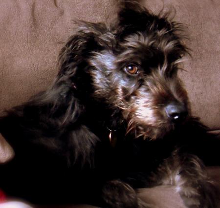 Two square  of the same image