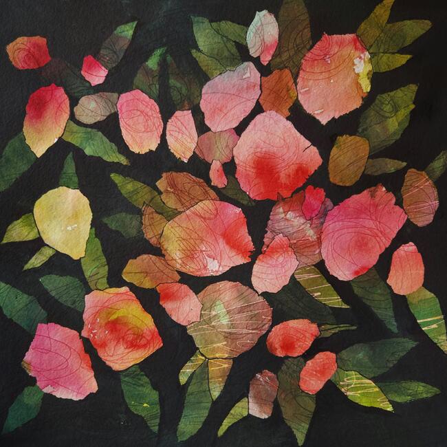 Rose 