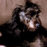 Two square  of the same image