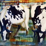 The Cows