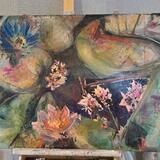 Waterlillies at Mount Edgecombe