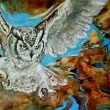 Oracle of the Silent Sky