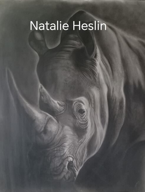 Rhino 