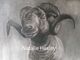 New Artwork