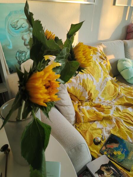 Accelerated Transformation