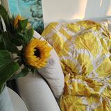 Accelerated Transformation