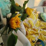 Accelerated Transformation