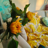 Accelerated Transformation