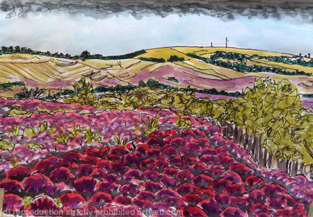 Heather Covered Dunes at Studland looking towards The Purbecks