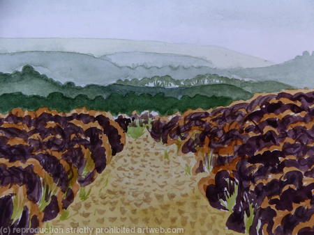 Heather Walk in Autumn, Studland