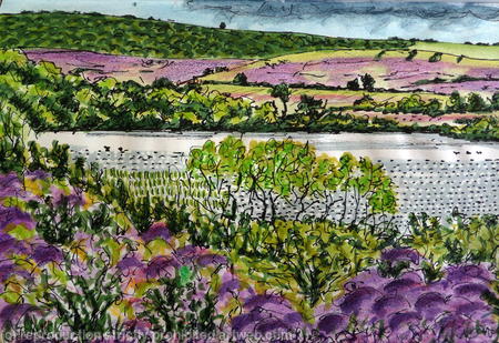 The Little Sea, Studland with The Purbecks in the Background