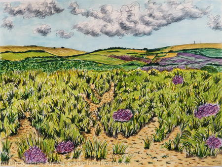 The Purbecks from Studland in Summer