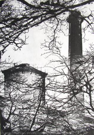 Mill Through the Trees