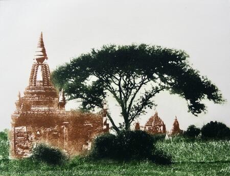 Temple and Acacia Tree