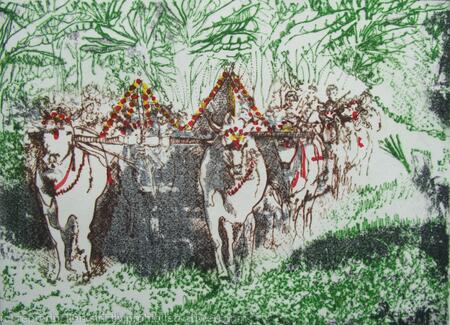 Decorated Oxen at Inwaa