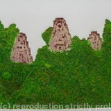 Temple in the Jungle, Ankor