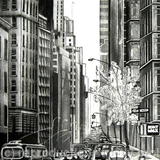 Madison Avenue, New York