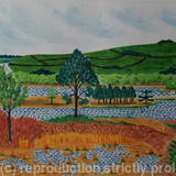 Little Sea, Studland