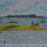 Brand's Bay, Studland