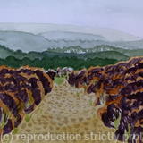 Heather Walk in Autumn, Studland