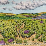 The Purbecks from Studland in Summer