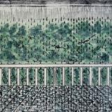 Rain at Sebatu, Bali