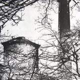 Mill Through the Trees