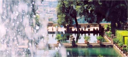 Spray Series 'The Cut'