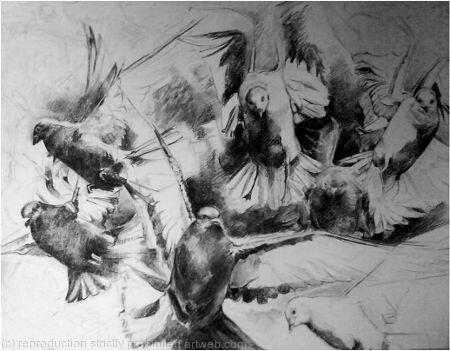 'Explosion' (Collection or Agreed UK Delivery Only)