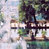 Spray Series 'The Cut'