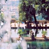 Spray Series The Cut