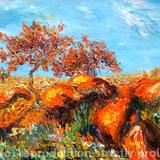 Northern Territory, Australia