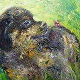 Bella lost in long grass