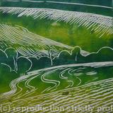 Downland Undulations