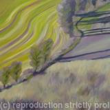 Heathy Brow: January #2