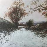 A Shropshire Lane