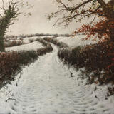 A Shropshire Lane. 2
