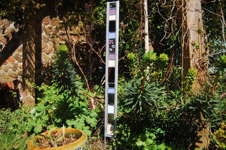 Garden Glass Mauve Large