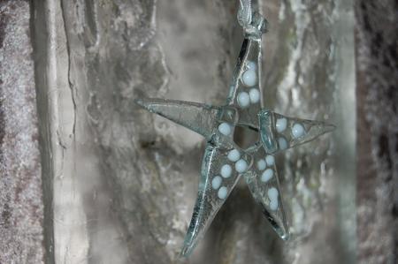 Christmas star (white)