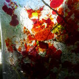 Autumn Leaves Detail