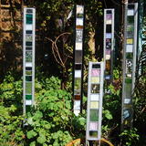 Garden Glass Various