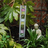 Garden Glass Pink Avocado Small