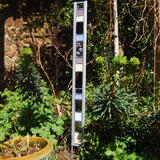 Garden Glass Mauve Large