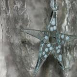 Christmas star (white)