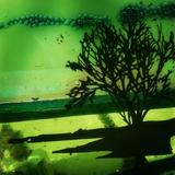 Tree of Life Green Sunset detail