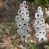 fused glass delphiniums
