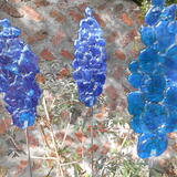 fused glass delphiniums