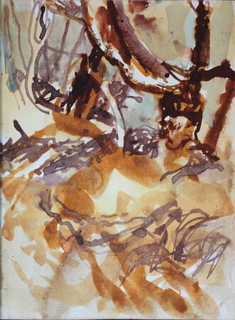 Woodland understory, Castle Eden Dene