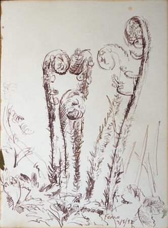 Ferns, May, Castle Eden Dene