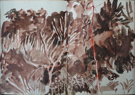 Elm Trees castle Eden Dene